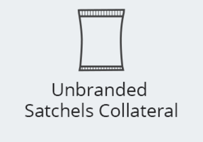 Picture of Unbranded Satchels Collateral